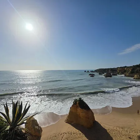 Sunny Haven 4 Minutes Walk To The Da Rocha Appartamento *